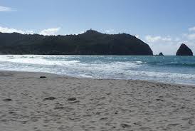 Image result for new chums beach