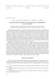 Attēlu rezultāti vaicājumam “Licea testudinacea spores”