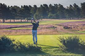 Image result for Hankley Common Golf Club