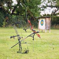 Image result for Panther Bowhunters Field Archery Club
