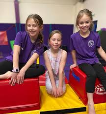 Image result for Mk Springers Gymnastics Club