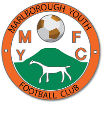 Image result for Haslemere Town Youth Football Club