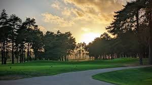 Image result for BrownMoor Park Tennis & Social Club