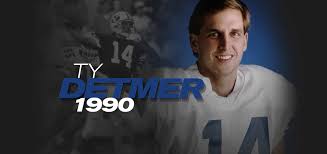 Attēlu rezultāti vaicājumam “Diderma testaceum young”