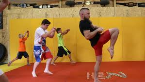 Image result for Wolverine MMA