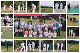 Image result for Shepherds Bush Cricket Club