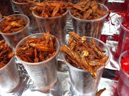 Attēlu rezultāti vaicājumam “Charales”