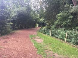 Image result for Henlow Cc