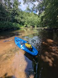 Image result for Midland Canoe Club