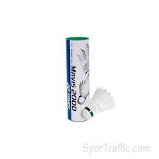 Image result for Team 2000 Badminton Club