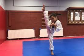 Image result for Mirfield Martial Arts Club