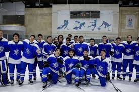 Image result for Ice Hockey International