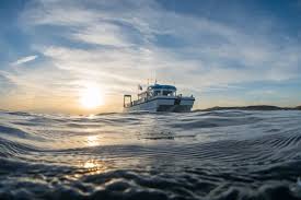 Image result for Chelsea & Fulham Sub-Aqua Club