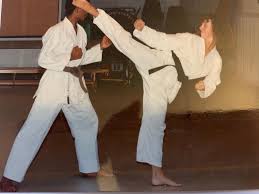 Image result for HEIWA SHOTOKAN KARATE CLUB