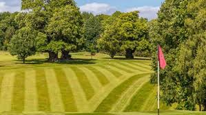 Image result for Chiddingfold Golf Club