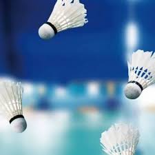 Image result for The Isle Badminton Club