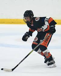 Image result for Telford Junior Ice Hockey Club
