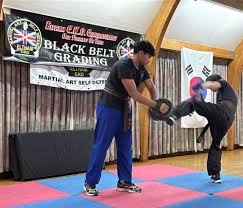 Image result for Ckd Blackbelt Schools Uk