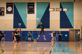 Image result for Pennine Netball Club