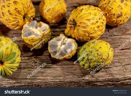 Attēlu rezultāti vaicājumam “Fruticola fruticum”