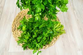 Image result for Petersilie