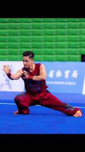 Image result for TRIANGLE CHANGQUAN FLYING DRAGON