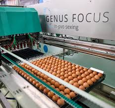 Image result for genus