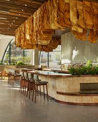 Attēlu rezultāti vaicājumam “Populus”