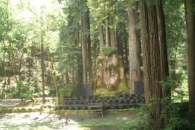 Image result for bohemian club