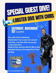 Image result for Breakwater Divers