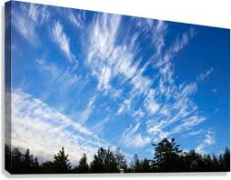 Attēlu rezultāti vaicājumam “Cirrus fibratus”