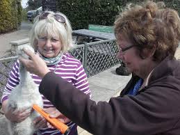 Image result for Rawdon Model Boat Club