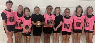 Image result for Tameside Netball Club
