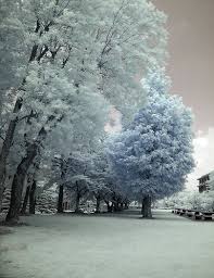 Image result for epl1 20mm night site:flickr.com