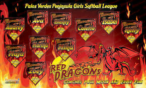 Image result for Dragons Softball Club