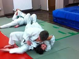 Image result for Beeches Martial Arts