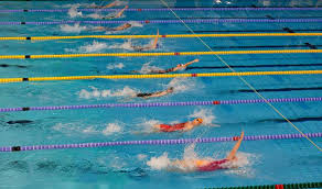 Image result for Maidenhead Marlins Swimming Club