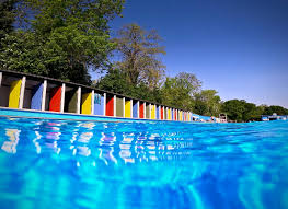 Image result for South London Swimming Club