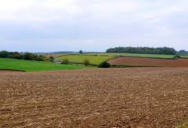 Image result for Stalbridge Cc