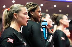 Image result for Ut Cougars