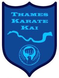 Image result for Thames Valley Karate