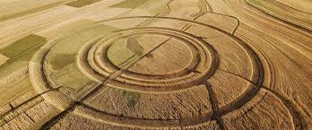 Image result for crop circle