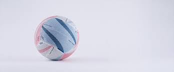 Image result for Finchampstead Netball Club