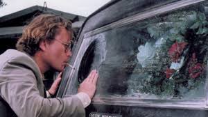 Attēlu rezultāti vaicājumam “Fuligo licentii young”