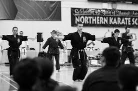 Image result for Northern Freestyle Karate Association