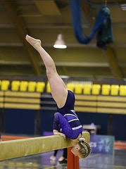 Image result for stonehaven gymnastics club