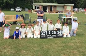 Image result for South Nutfield Cricket Club