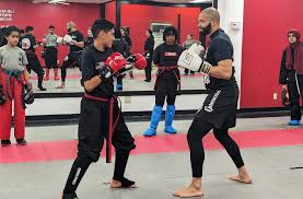 Image result for United Dojos Kickboxing