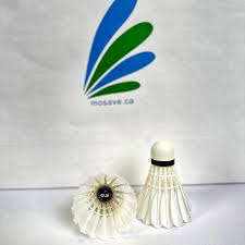 Image result for Shuttles Badminton Club (Frome)