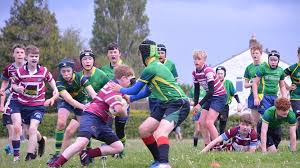 Image result for Shelford Rugby Club